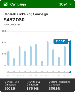 General Fundraising Campaign